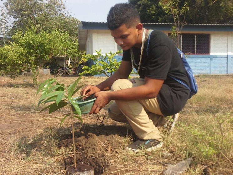 Yo Adopto un &Aacute;rbol